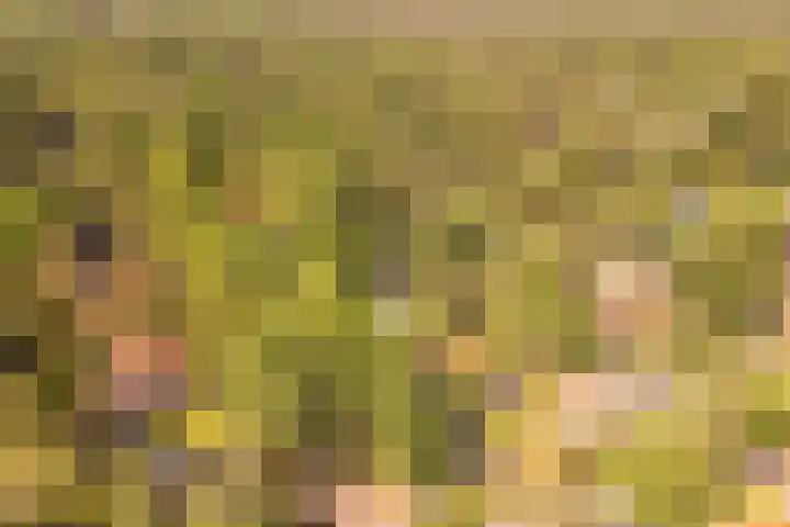 Eikenlaan 2 Apeldoorn thumbnail 65