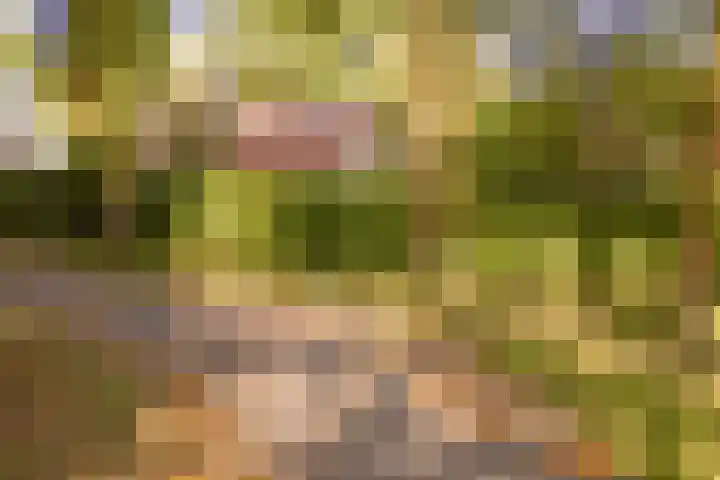 Eikenlaan 2 Apeldoorn thumbnail 67
