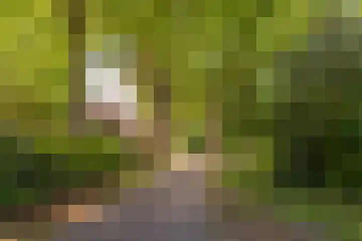Eikenlaan 2 Apeldoorn thumbnail 68