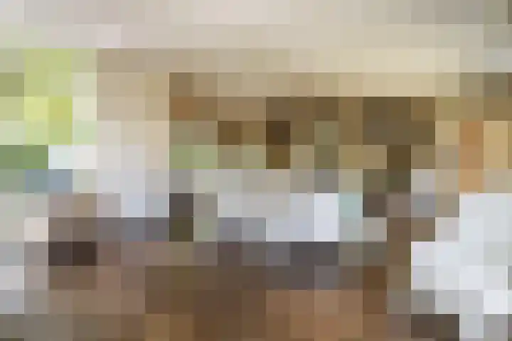 Eikenlaan 2 Apeldoorn thumbnail 8