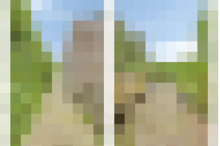 Eikenlaan 2 Dirksland thumbnail 10