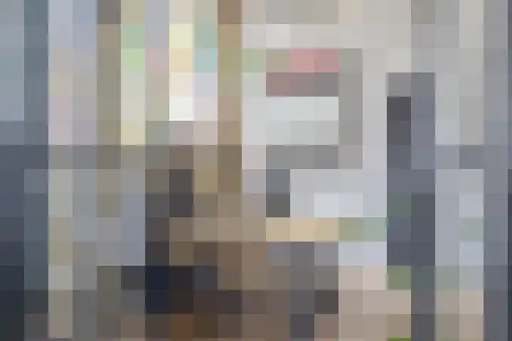 Eikenlaan 2 Dirksland thumbnail 22
