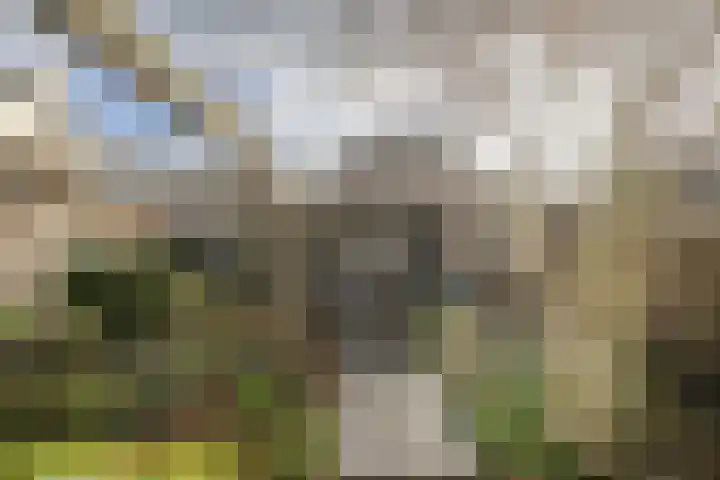 Eikenlaan 2 Dirksland thumbnail 26