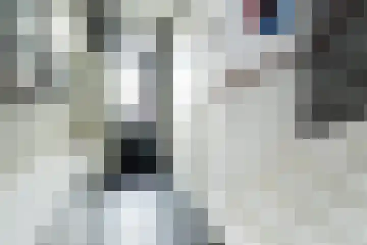 Eikenlaan 2 Dirksland thumbnail 4