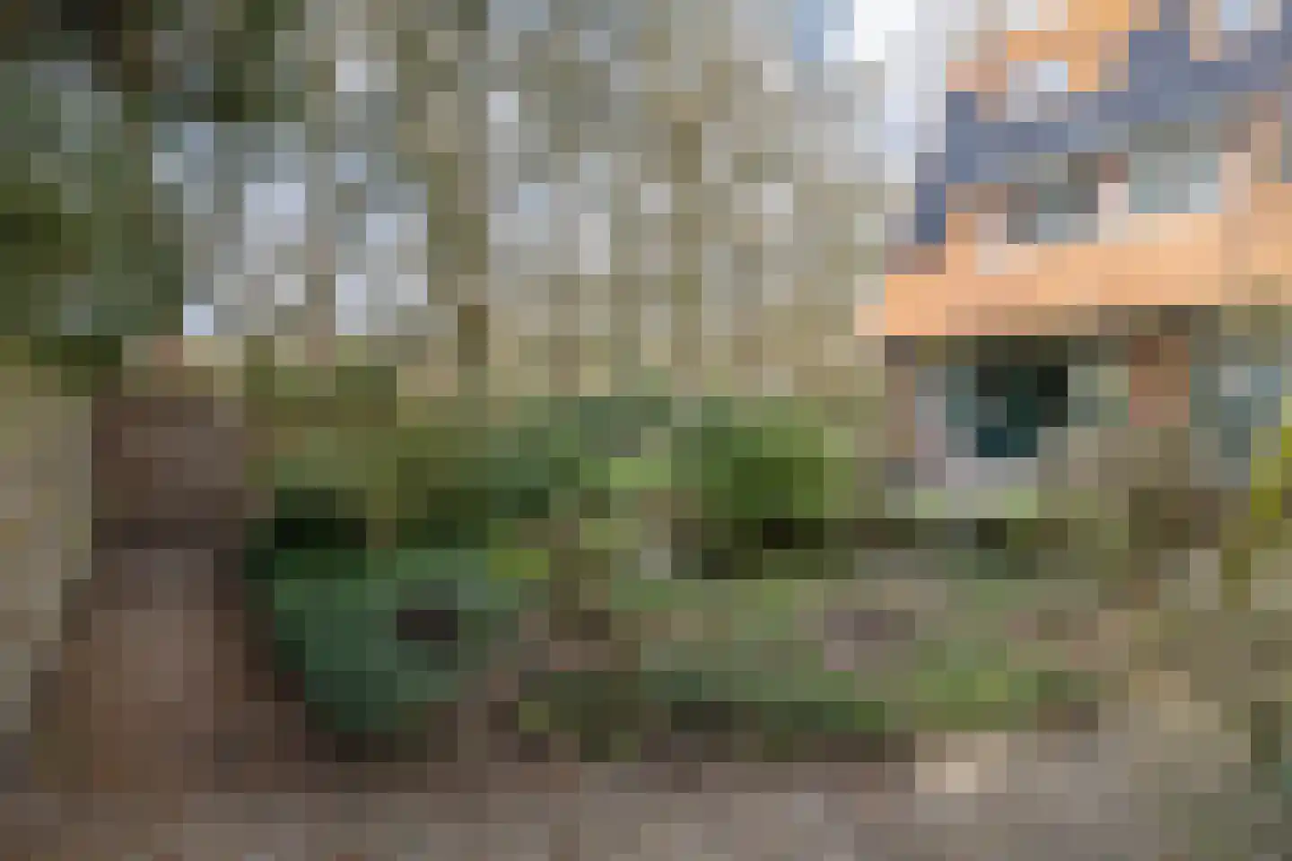 Eikenlaan 2 Driebergen-Rijsenburg thumbnail 48