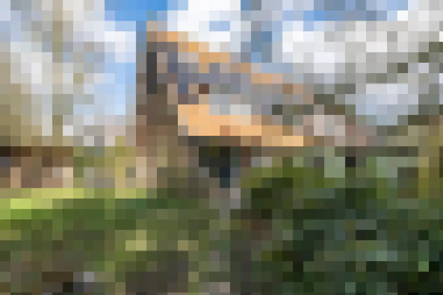 Eikenlaan 2 Driebergen-Rijsenburg thumbnail 49