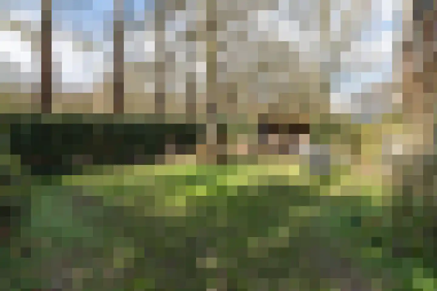 Eikenlaan 2 Driebergen-Rijsenburg thumbnail 50