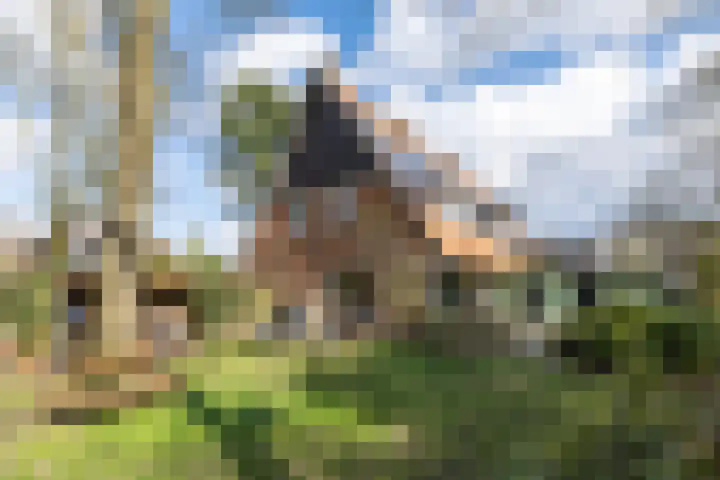 Eikenlaan 2 Driebergen-Rijsenburg thumbnail 51