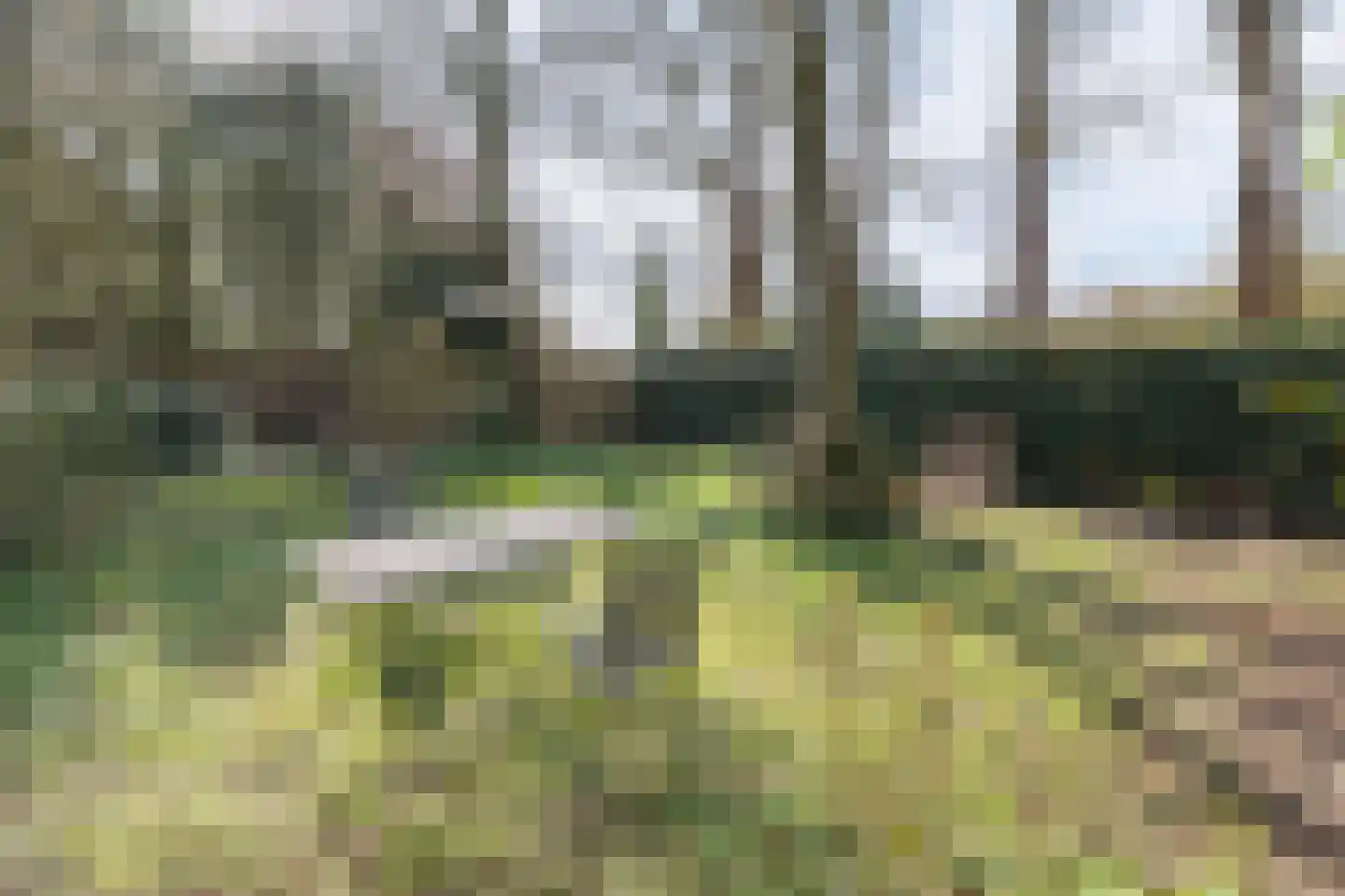 Eikenlaan 2 Driebergen-Rijsenburg thumbnail 52