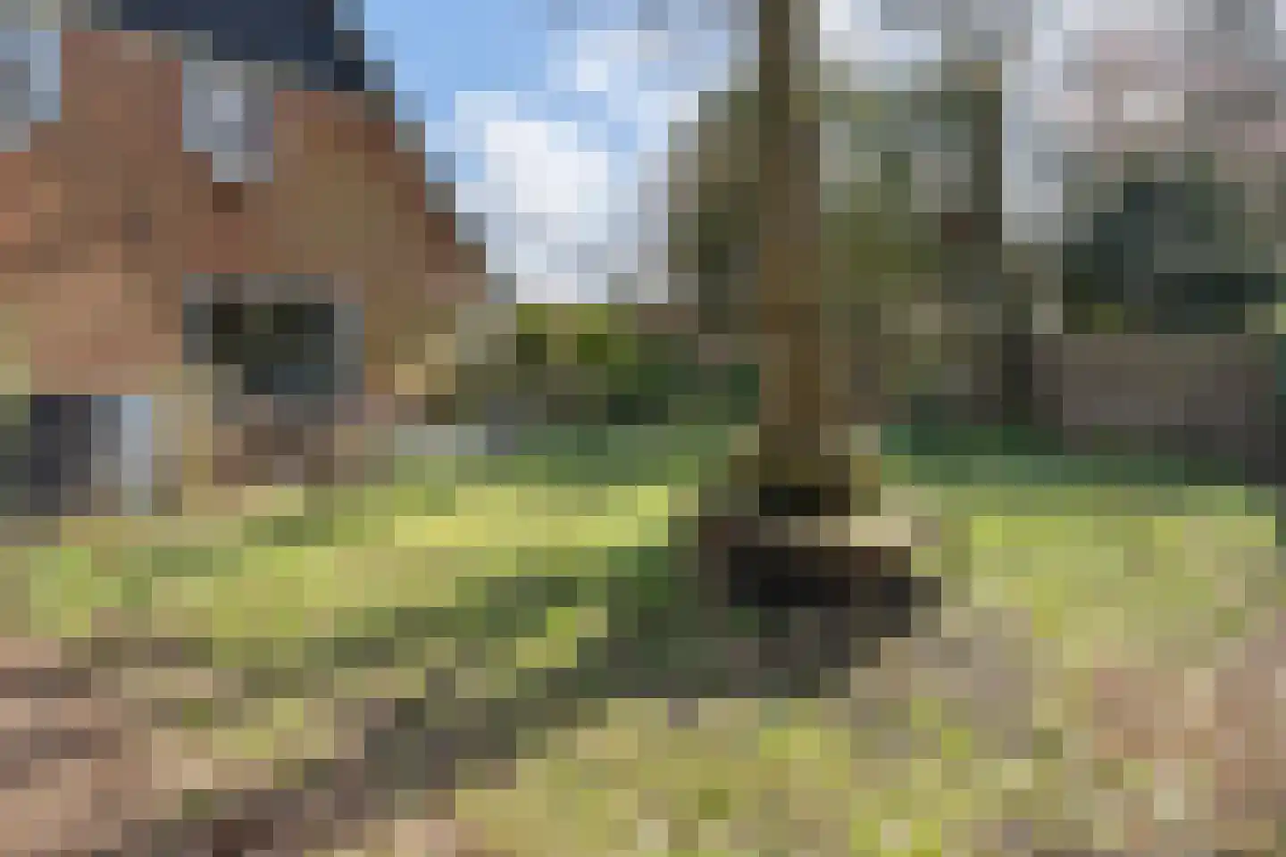 Eikenlaan 2 Driebergen-Rijsenburg thumbnail 53