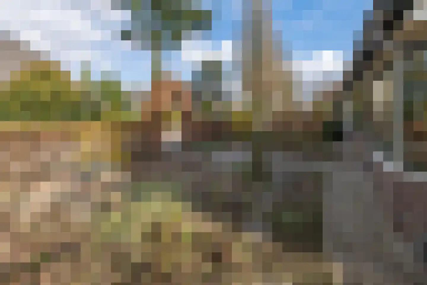 Eikenlaan 2 Driebergen-Rijsenburg thumbnail 56