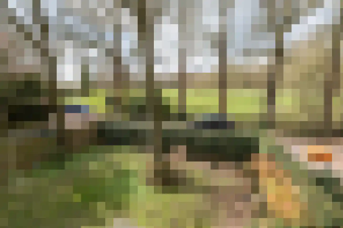 Eikenlaan 2 Driebergen-Rijsenburg thumbnail 62