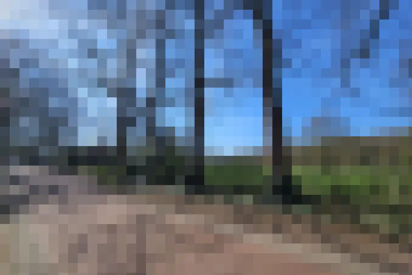 Eikenlaan 2 Driebergen-Rijsenburg thumbnail 63