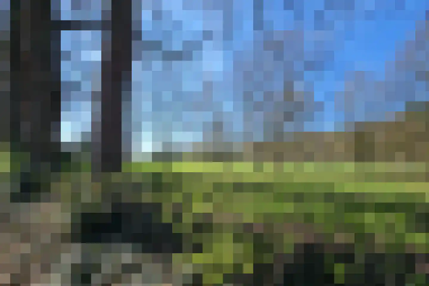 Eikenlaan 2 Driebergen-Rijsenburg thumbnail 64