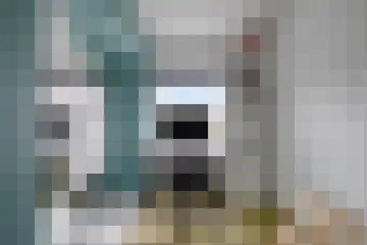 Eikenlaan 2 Hoogland thumbnail 27