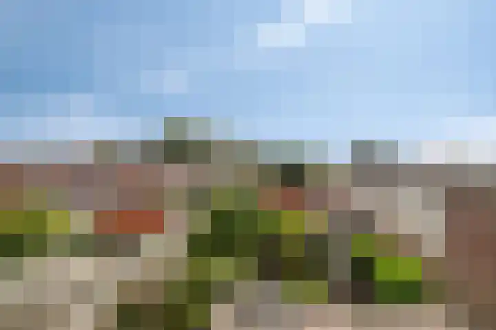Eikenlaan 2 Hoogland thumbnail 30