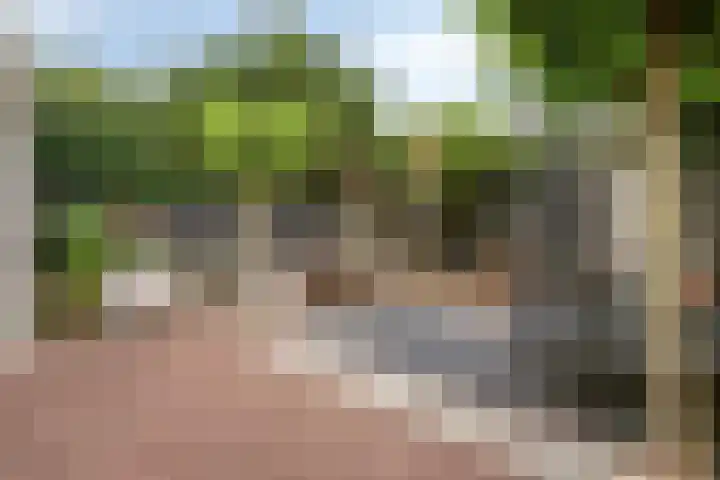 Eikenlaan 2 Hoogland thumbnail 34