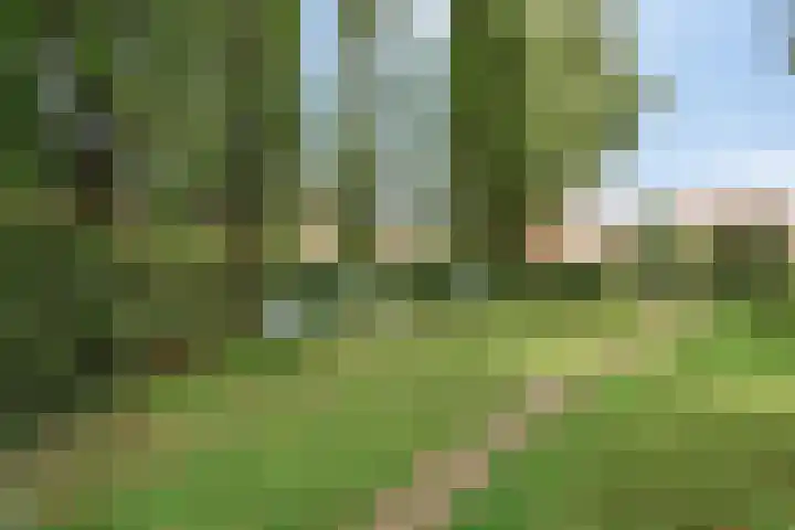 Eikenlaan 2 Hoogland thumbnail 38