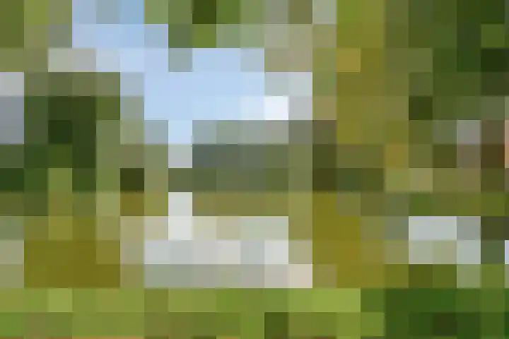 Eikenlaan 2 Hoogland thumbnail 39
