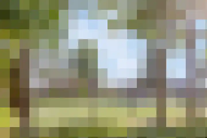 Eikenlaan 2 Hoogland thumbnail 40
