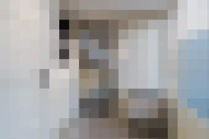 Eikenlaan 20 Heerenveen thumbnail 18