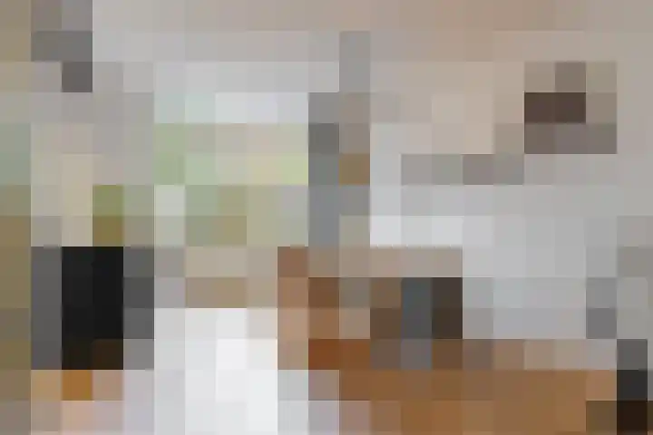Eikenlaan 20 Leiderdorp thumbnail 10
