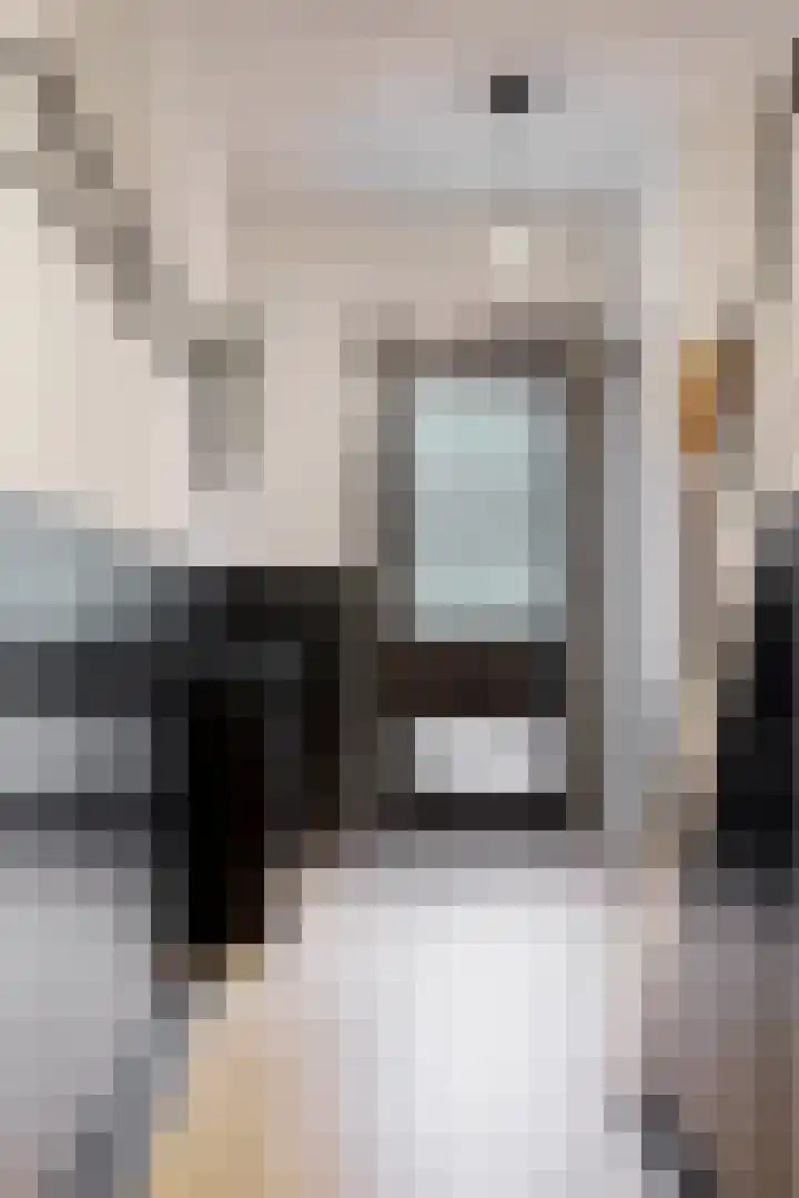 Eikenlaan 20 Leiderdorp thumbnail 14