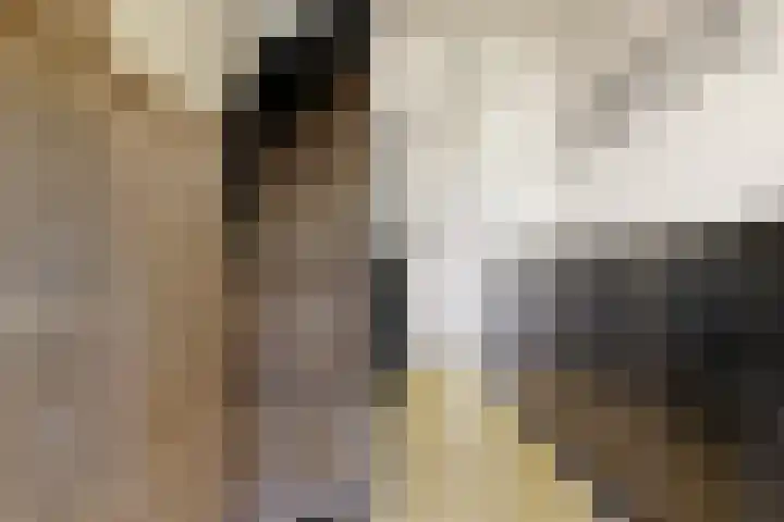 Eikenlaan 20 Leiderdorp thumbnail 16