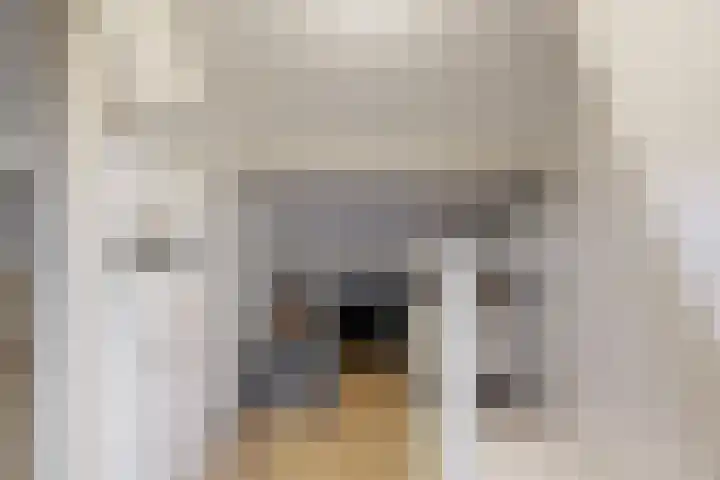 Eikenlaan 20 Leiderdorp thumbnail 30