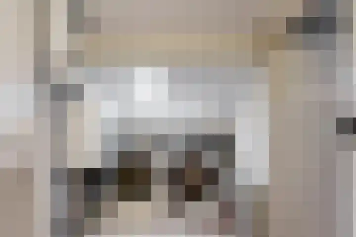 Eikenlaan 20 Leiderdorp thumbnail 31