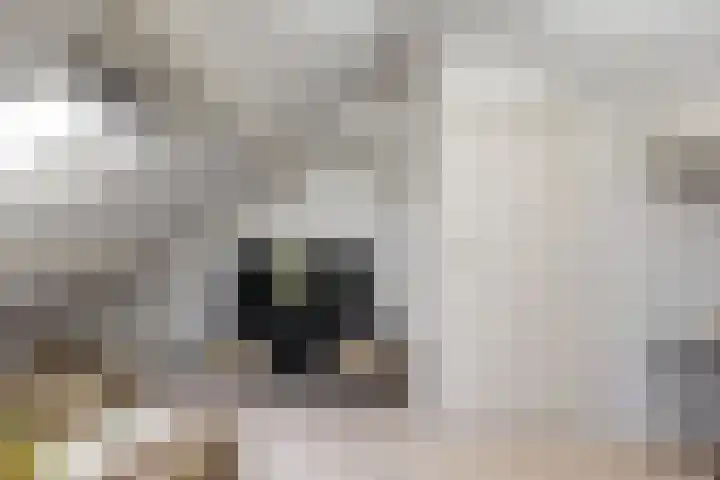 Eikenlaan 20 Leiderdorp thumbnail 33