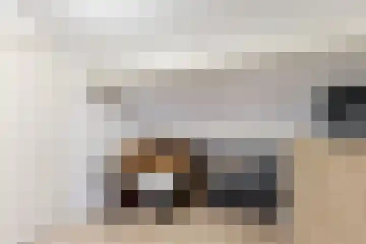 Eikenlaan 20 Leiderdorp thumbnail 34
