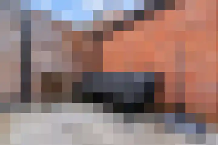 Eikenlaan 20 Leiderdorp thumbnail 37