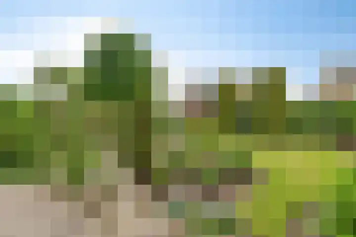 Eikenlaan 20 Puttershoek thumbnail 19