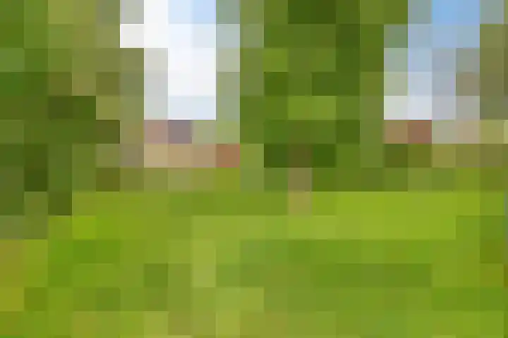 Eikenlaan 20 Puttershoek thumbnail 24