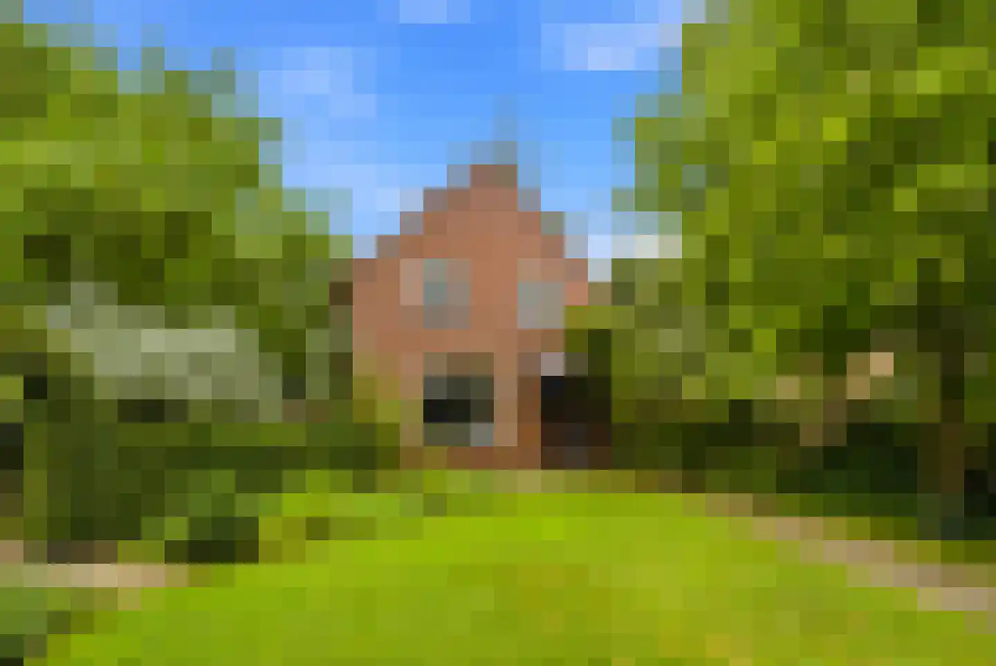 Eikenlaan 21 in Langenboom