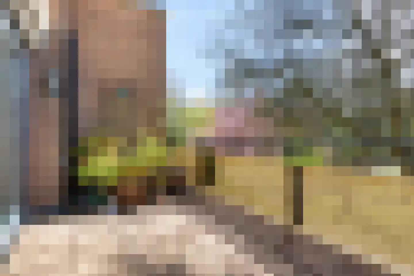 Eikenlaan 21 Alkmaar thumbnail 31