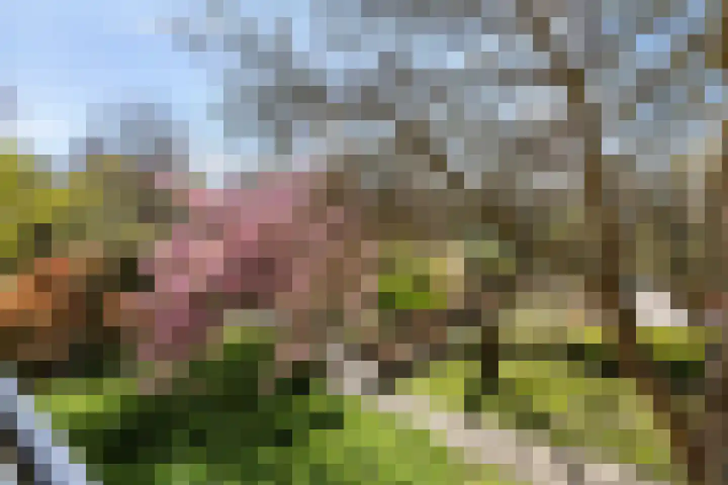 Eikenlaan 21 Alkmaar thumbnail 33
