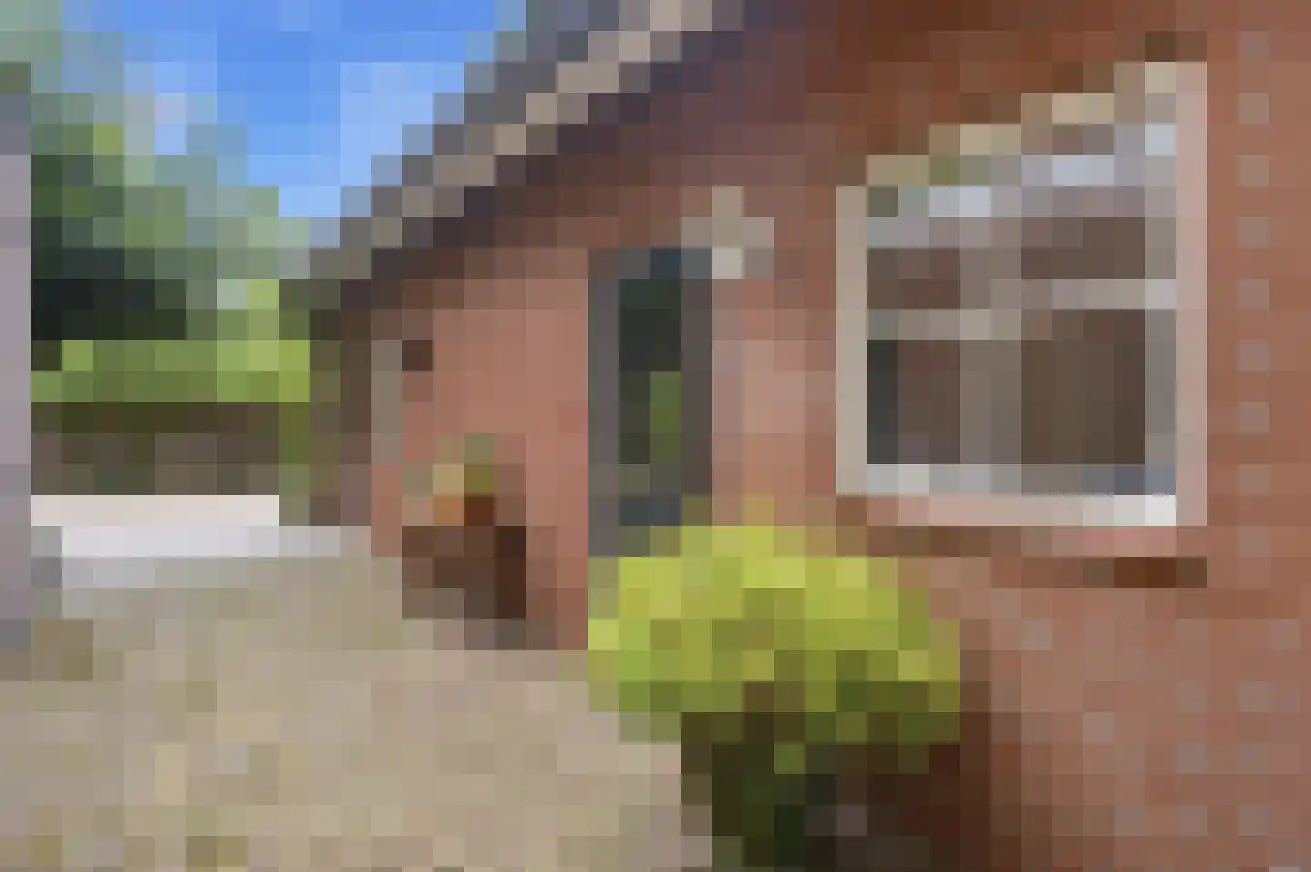 Eikenlaan 21 Langenboom thumbnail 29