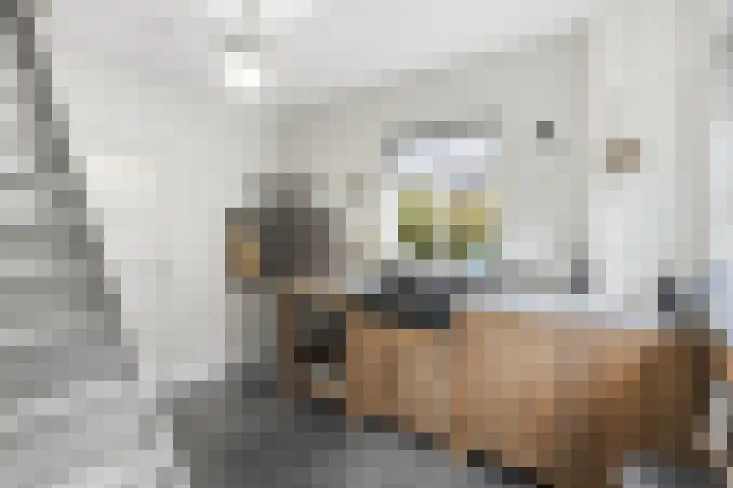 Eikenlaan 21 Langenboom thumbnail 31