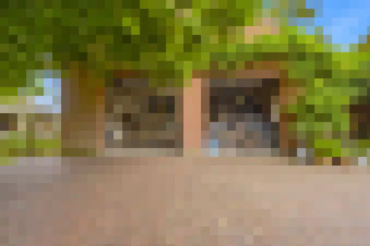 Eikenlaan 21 Langenboom thumbnail 39