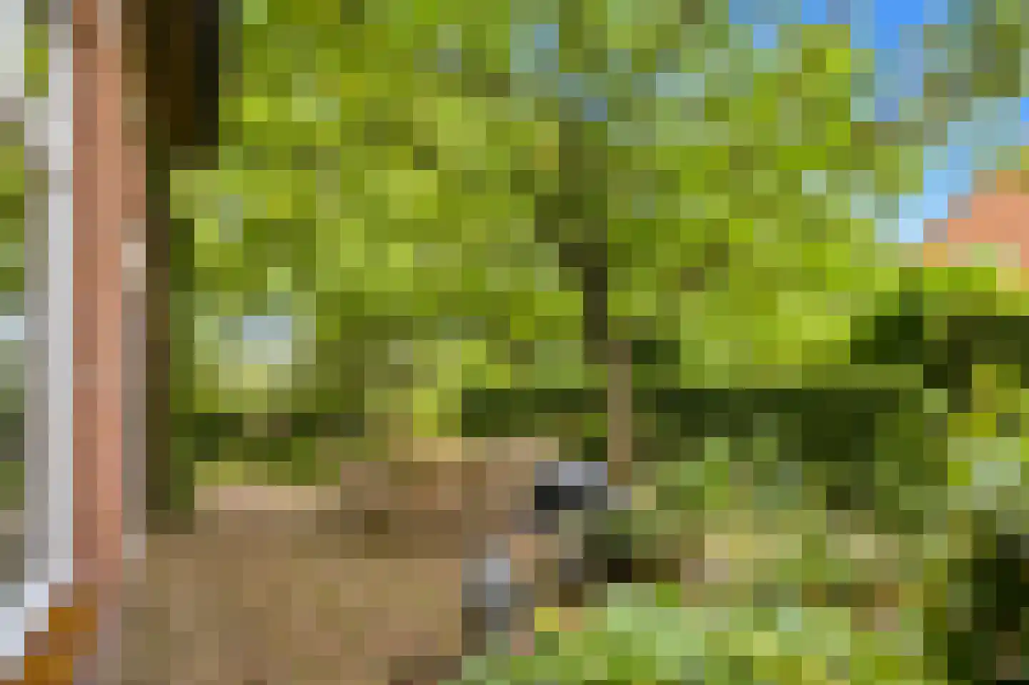 Eikenlaan 21 Langenboom thumbnail 42