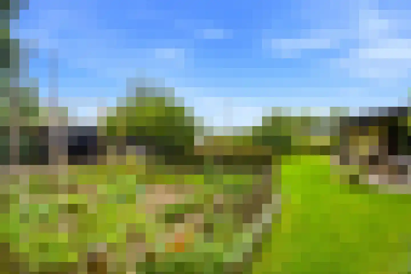 Eikenlaan 21 Langenboom thumbnail 44