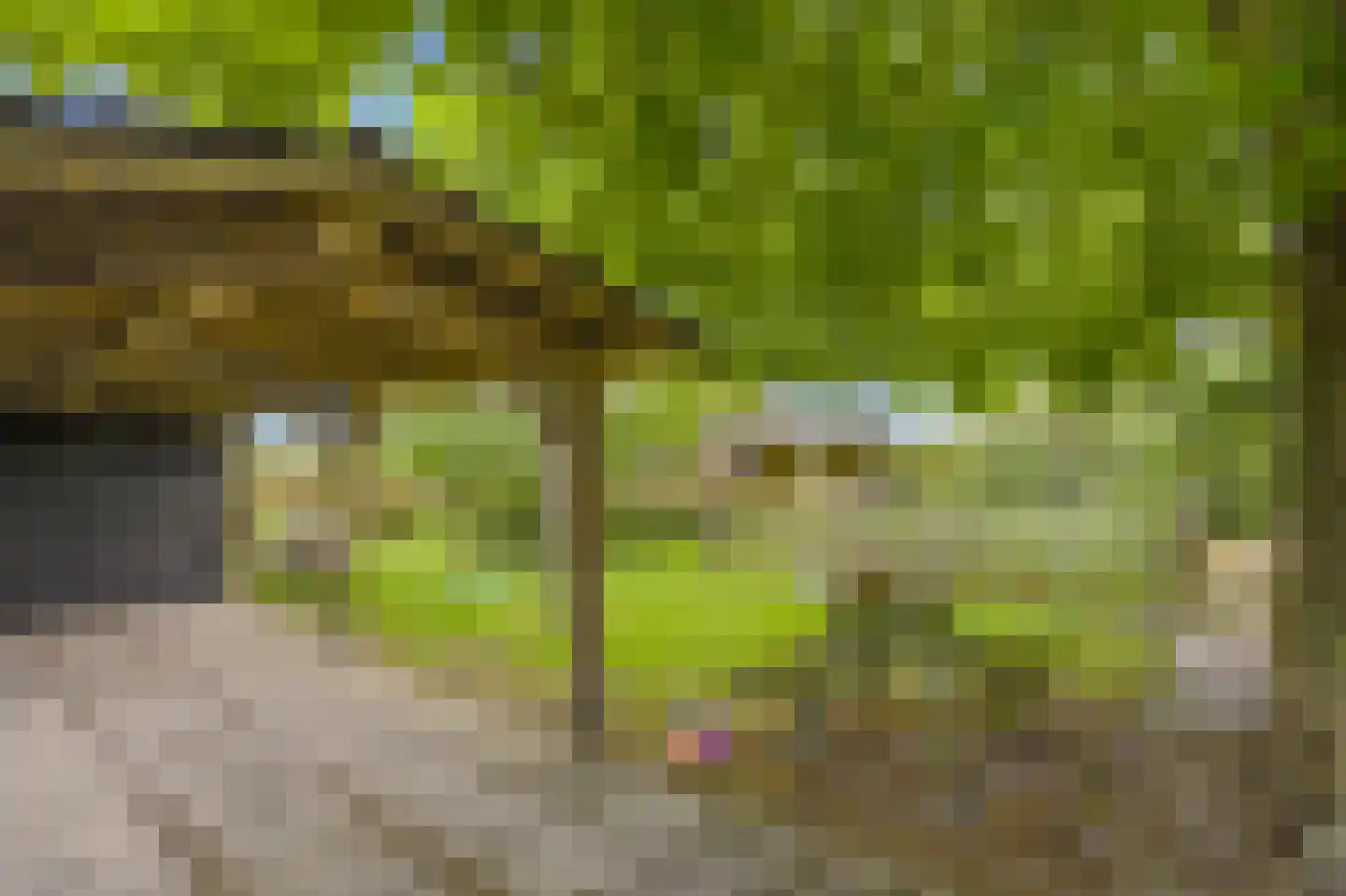 Eikenlaan 21 Langenboom thumbnail 47