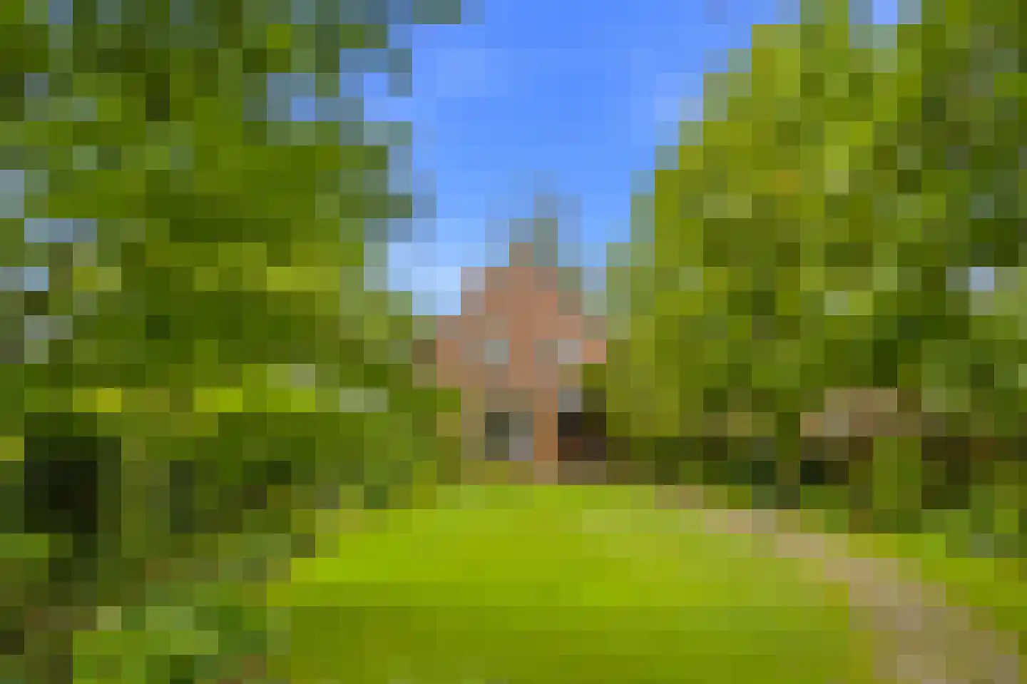 Eikenlaan 21 Langenboom thumbnail 50