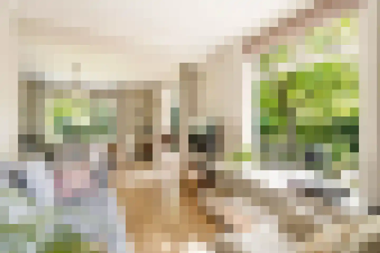 Eikenlaan 21 Langenboom thumbnail 9