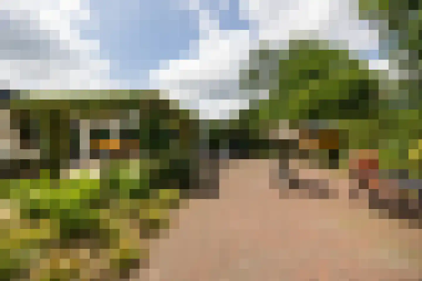 Eikenlaan 21 Leusden thumbnail 34