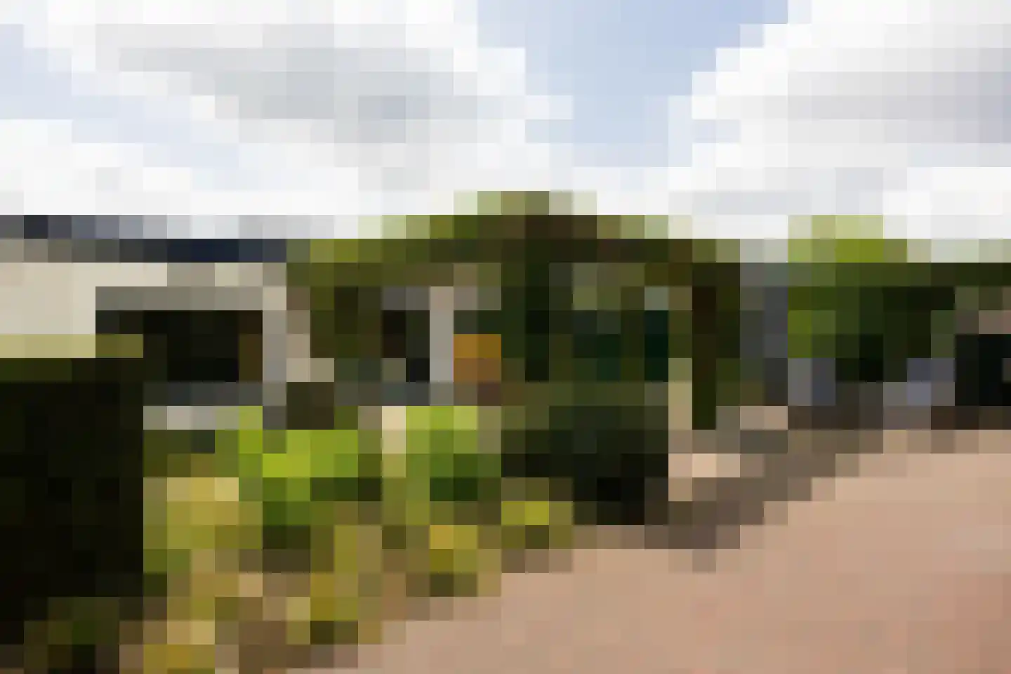 Eikenlaan 21 Leusden thumbnail 35