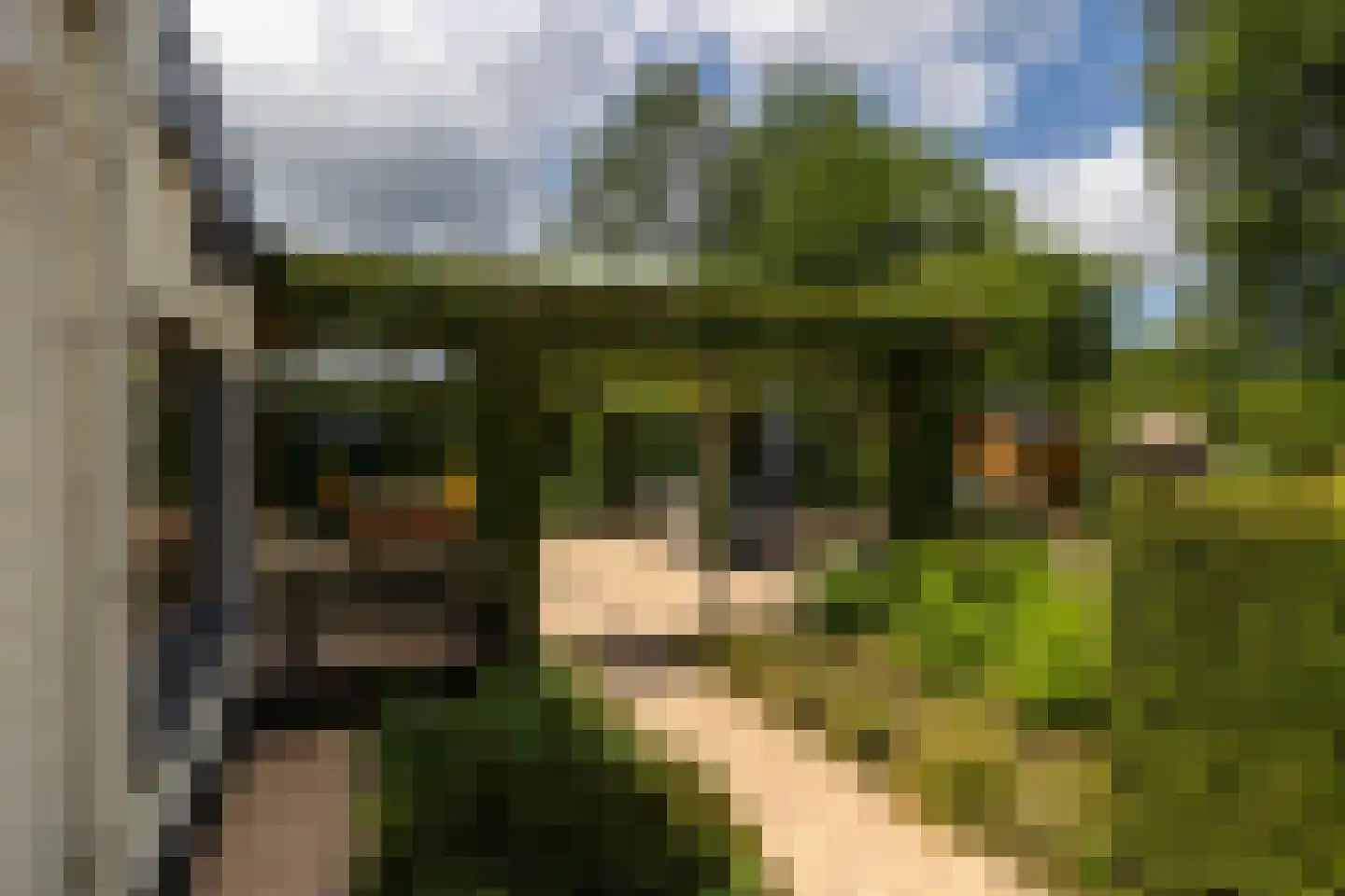 Eikenlaan 21 Leusden thumbnail 36