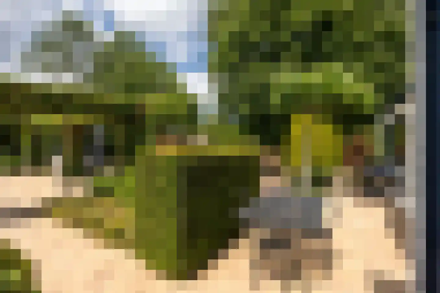 Eikenlaan 21 Leusden thumbnail 37